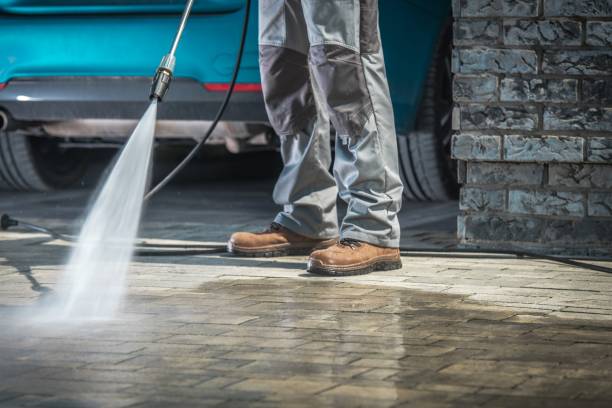 Best Gutter Cleaning  in Pahokee, FL