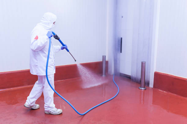 Professional Pressure Washing Services in Pahokee, FL
