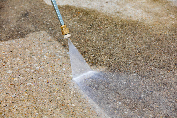 Best Driveway Pressure Washing  in Pahokee, FL